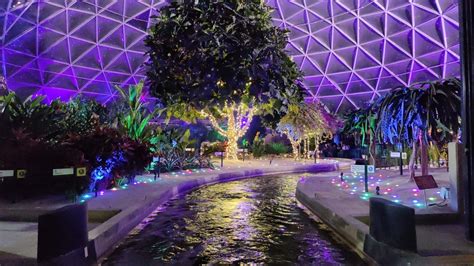 November 24, 2023. The Living with the Land attraction’s seasonal “Glimmering Greenhouses” overlay officially debuted on November 24 in conjunction with the …